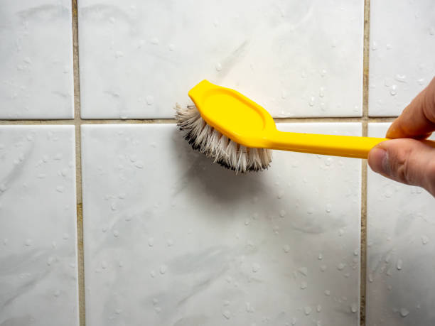 Best Professional Mold Removal  in Port Dickinson, NY