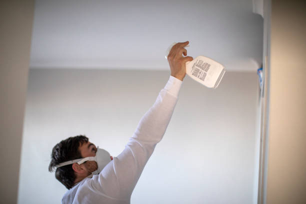 Best Mold Cleaning Services  in Port Dickinson, NY