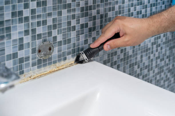 Best Office Mold Removal Services  in Port Dickinson, NY